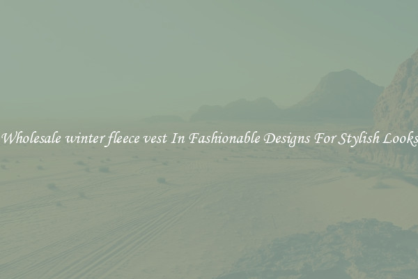 Wholesale winter fleece vest In Fashionable Designs For Stylish Looks