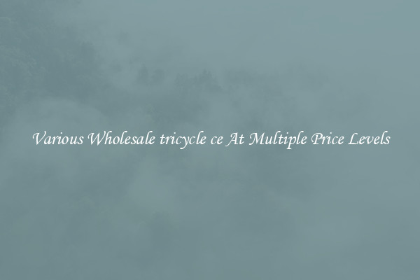 Various Wholesale tricycle ce At Multiple Price Levels