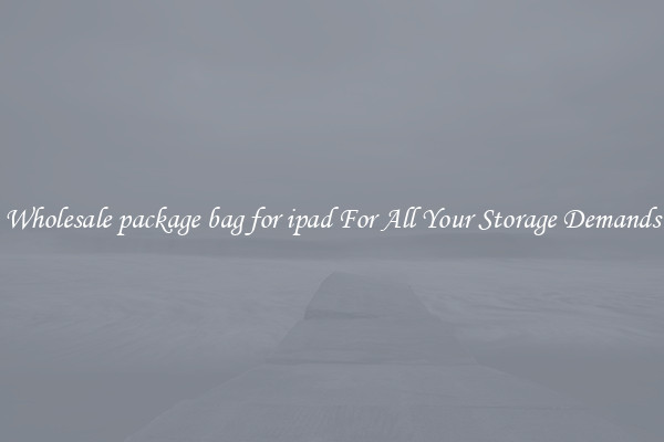 Wholesale package bag for ipad For All Your Storage Demands