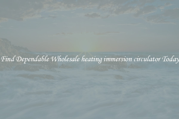Find Dependable Wholesale heating immersion circulator Today