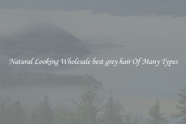 Natural Looking Wholesale best grey hair Of Many Types