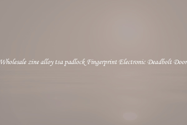 Wholesale zine alloy tsa padlock Fingerprint Electronic Deadbolt Door 
