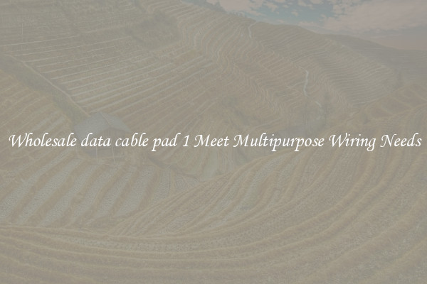 Wholesale data cable pad 1 Meet Multipurpose Wiring Needs