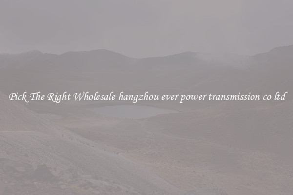 Pick The Right Wholesale hangzhou ever power transmission co ltd