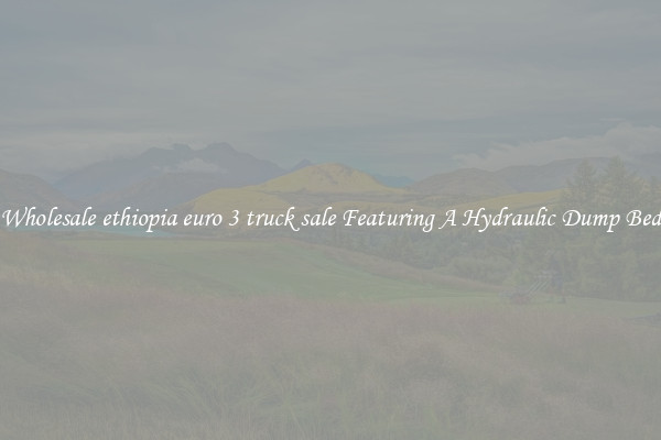 Wholesale ethiopia euro 3 truck sale Featuring A Hydraulic Dump Bed
