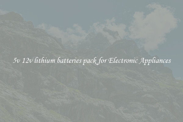 5v 12v lithium batteries pack for Electronic Appliances