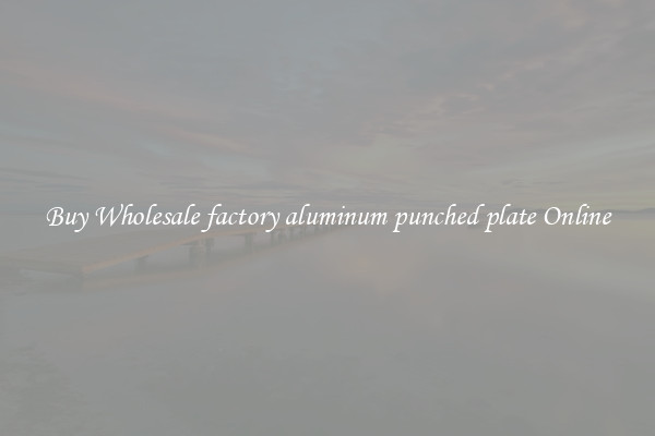 Buy Wholesale factory aluminum punched plate Online