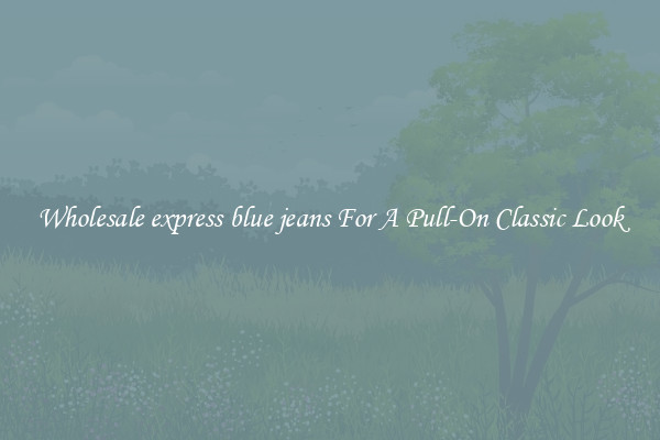 Wholesale express blue jeans For A Pull-On Classic Look