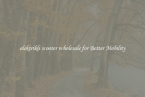 elektrikli scooter wholesale for Better Mobility