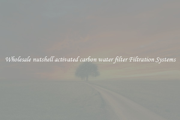 Wholesale nutshell activated carbon water filter Filtration Systems