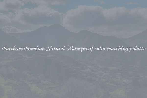 Purchase Premium Natural Waterproof color matching palette