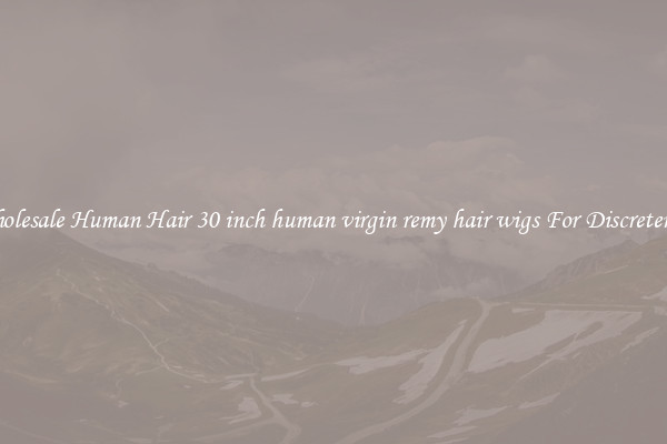 Wholesale Human Hair 30 inch human virgin remy hair wigs For Discreteness