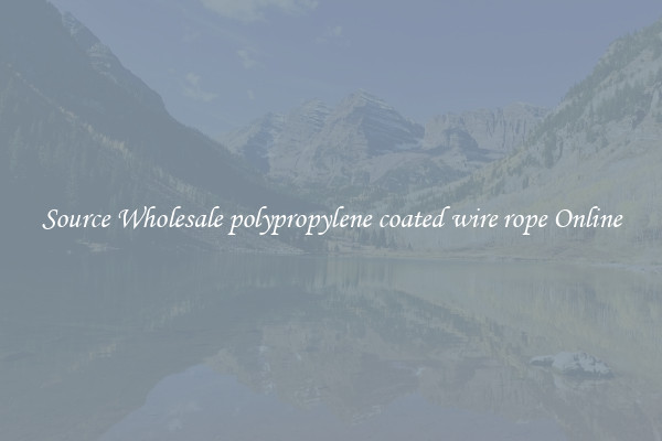 Source Wholesale polypropylene coated wire rope Online