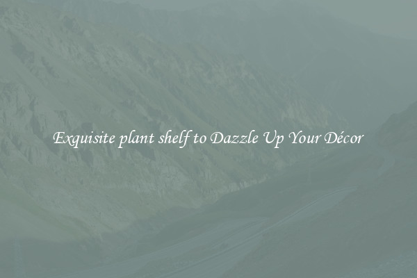 Exquisite plant shelf to Dazzle Up Your Décor 