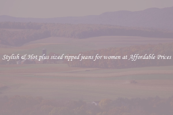Stylish & Hot plus sized ripped jeans for women at Affordable Prices