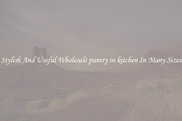 Stylish And Useful Wholesale pantry in kitchen In Many Sizes