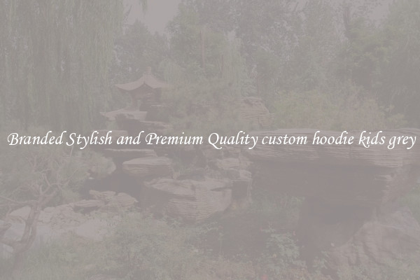 Branded Stylish and Premium Quality custom hoodie kids grey