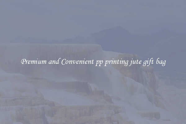 Premium and Convenient pp printing jute gift bag