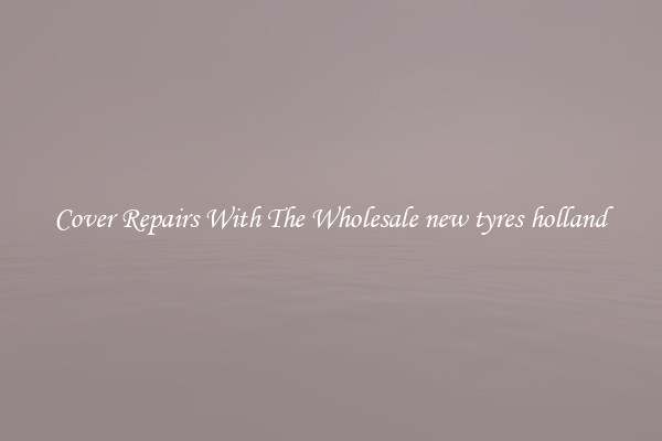  Cover Repairs With The Wholesale new tyres holland 